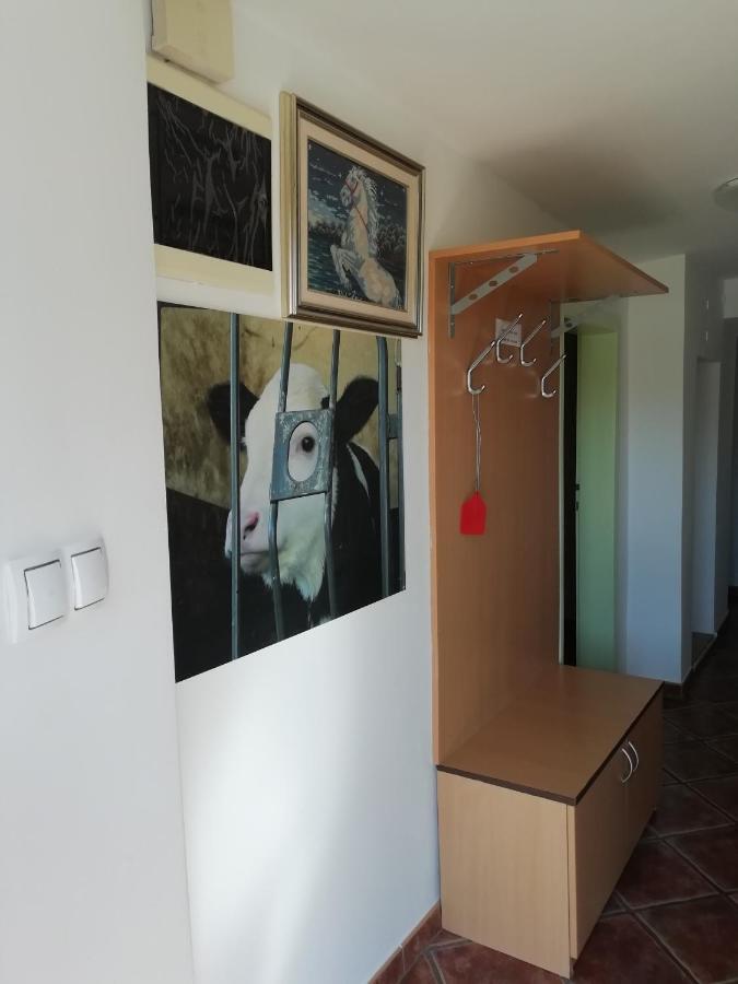 Apartma Pr' Vok ليسْتْسي المظهر الخارجي الصورة